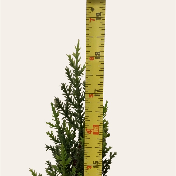 Artificial Pine Trees - Picture 4 of 5